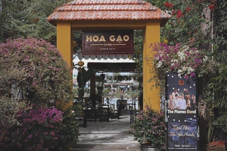 Hoa Gạo Cà Phê
