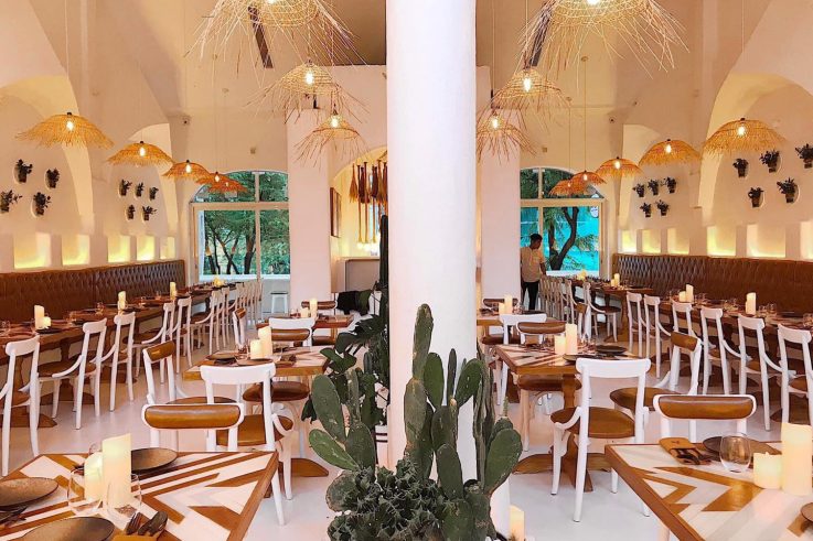 Sol Kitchen & Bar