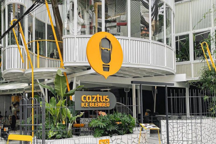 Caztus Ice Blend