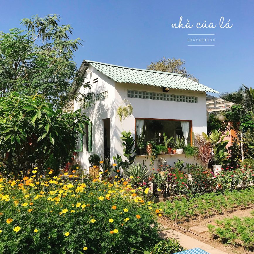Nhà Của Lá